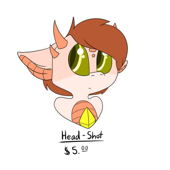 Head Shot Example